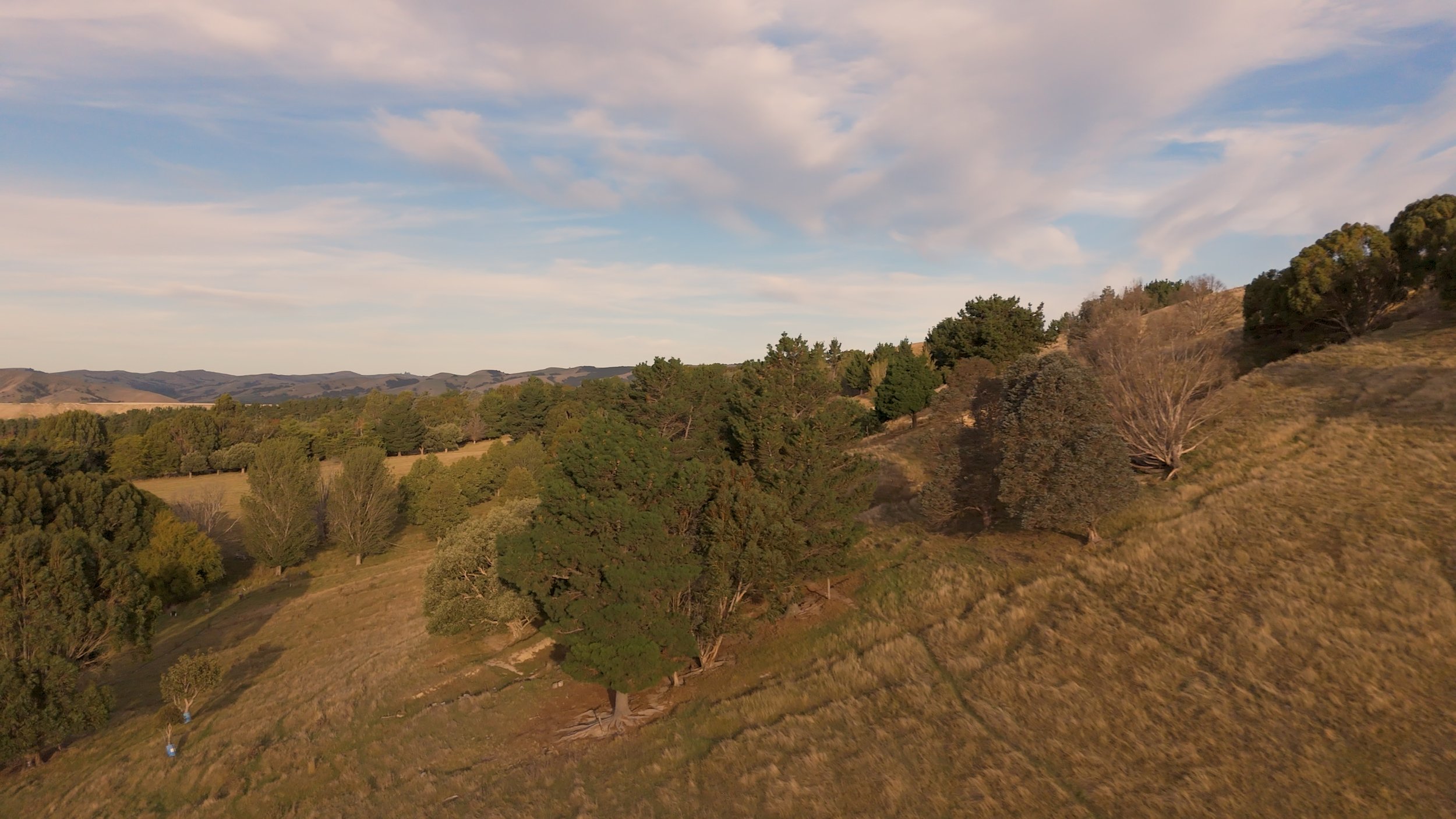 DJI_20250323155510_0095_D.00_11_41_24.Still020.jpeg