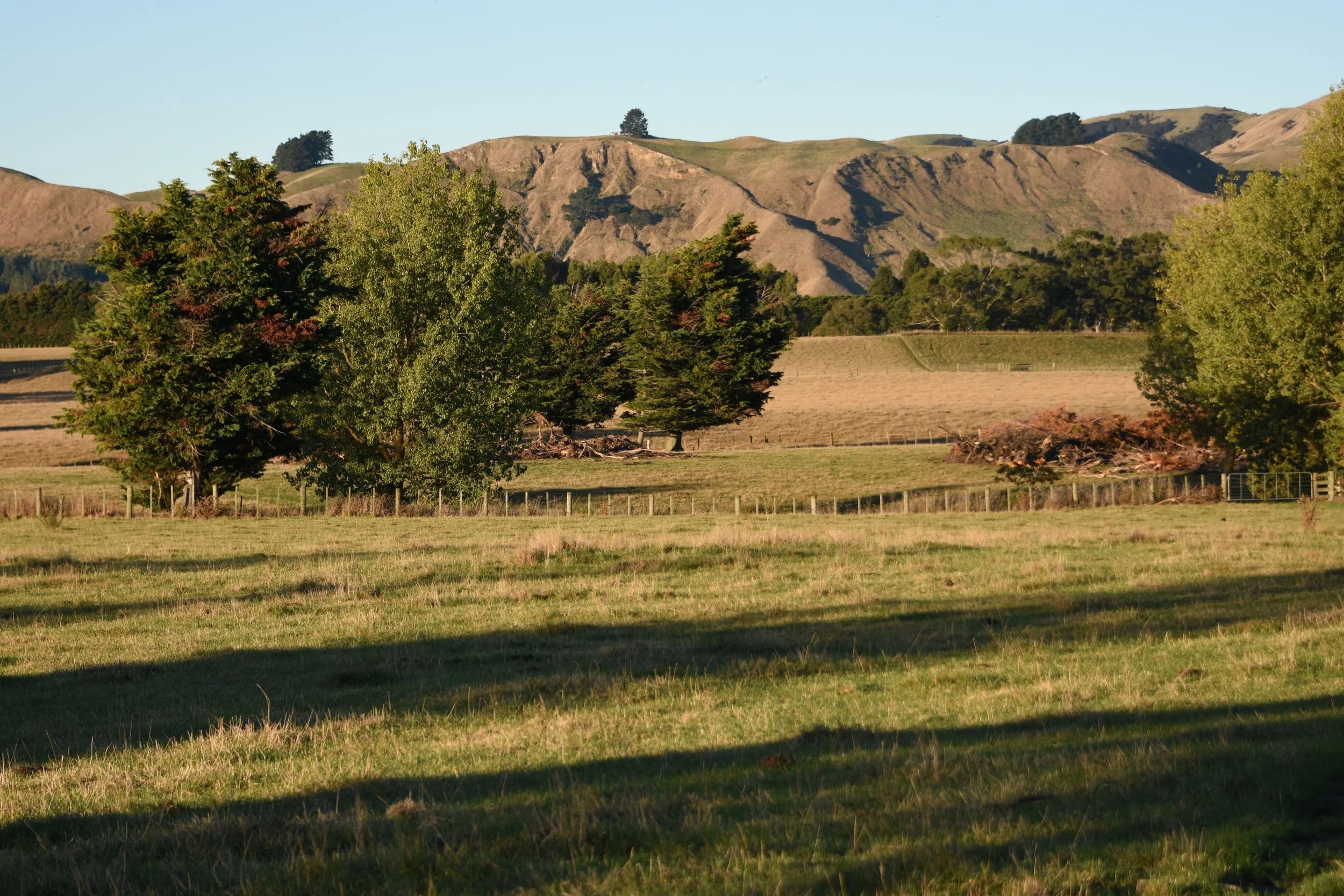 DSC_9233.JPG