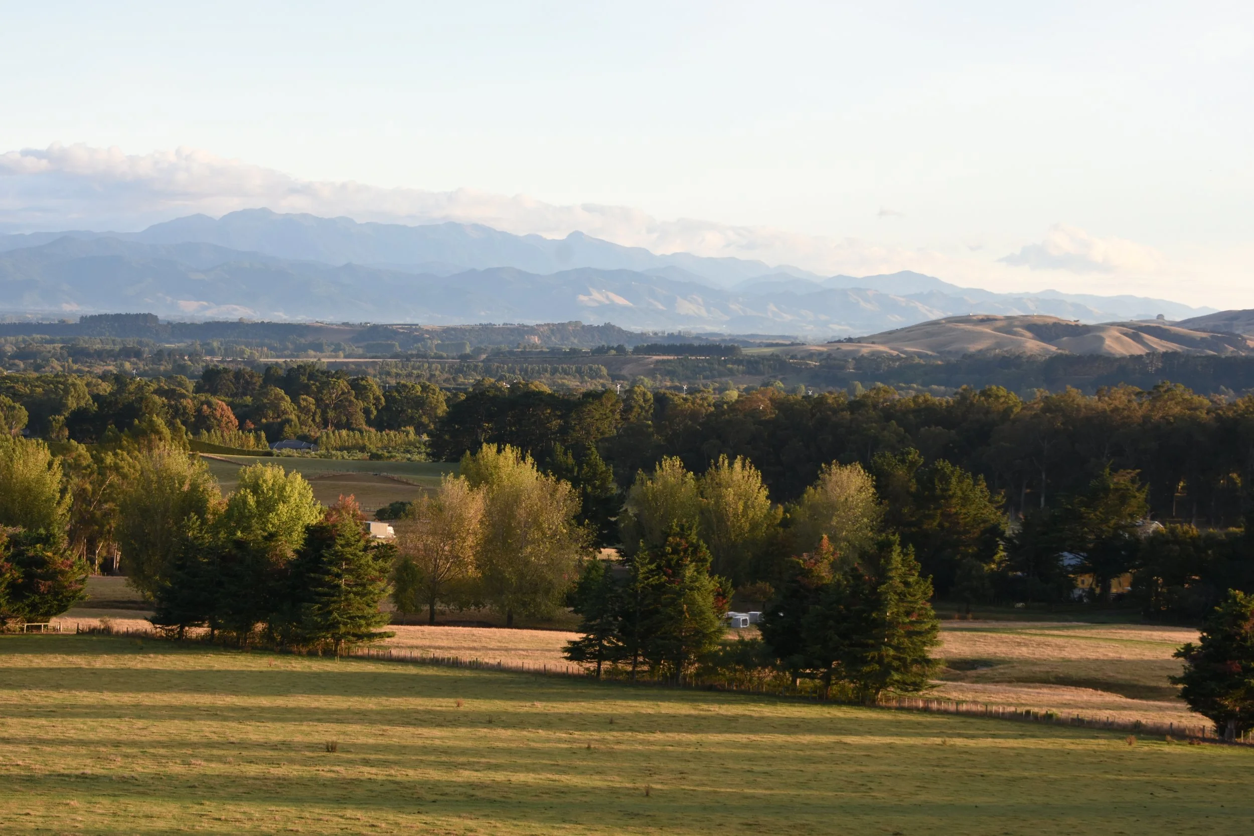 DSC_9748.JPG