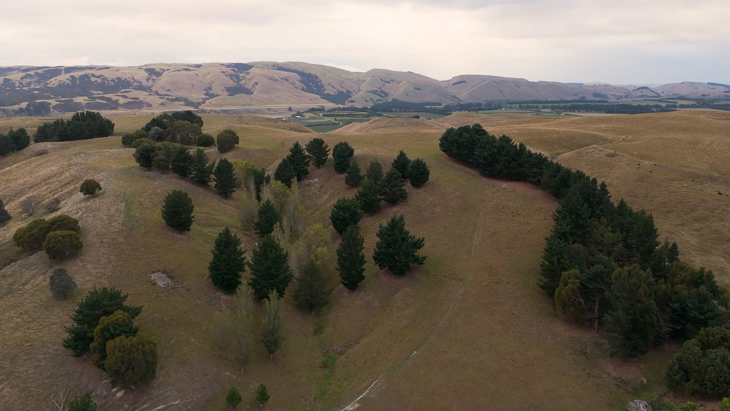 DJI_20250323155510_0095_D.00_20_43_25.Still032.jpeg
