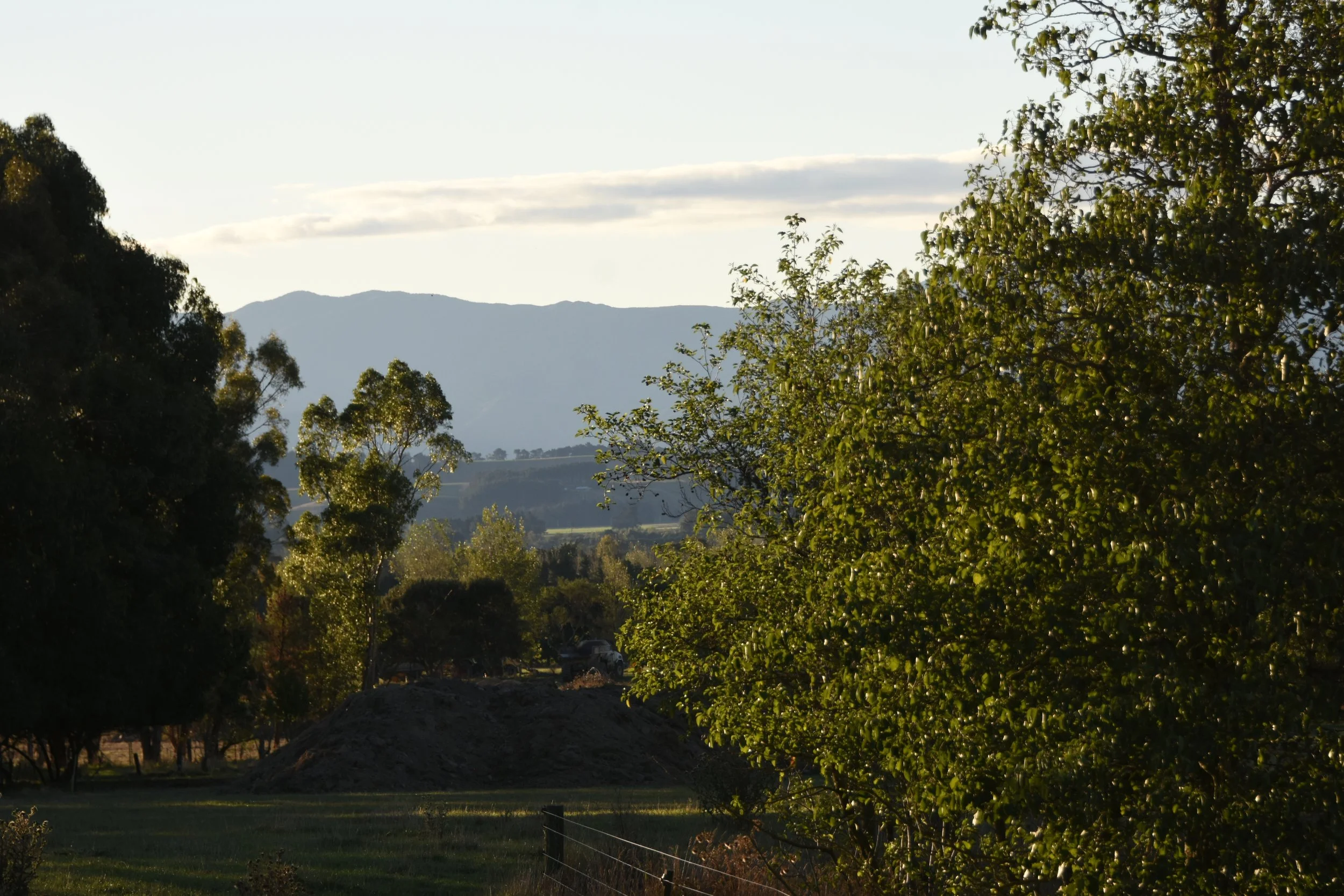 DSC_9223.JPG