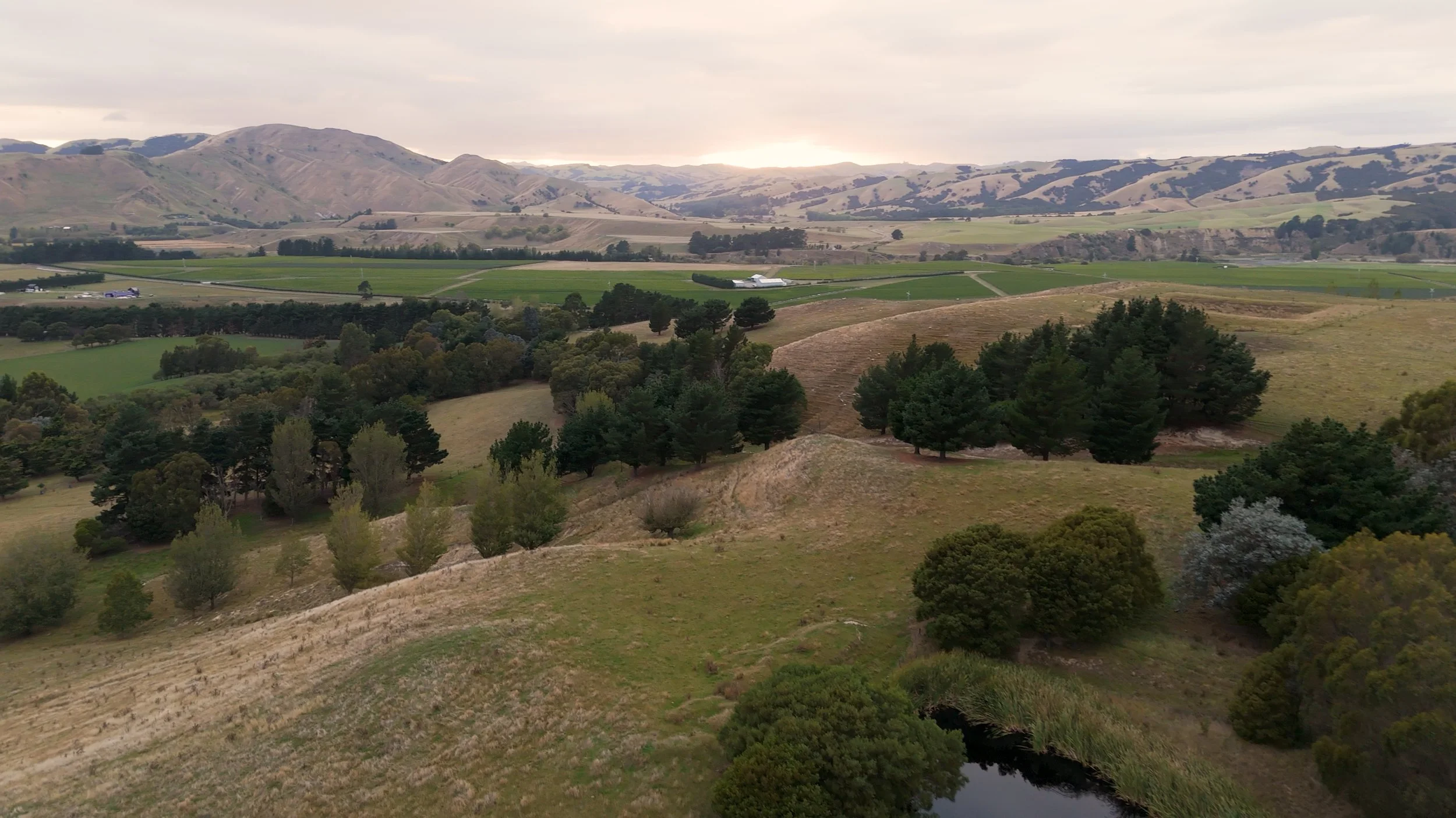 DJI_20250323155510_0095_D.00_21_16_04.Still034.jpeg