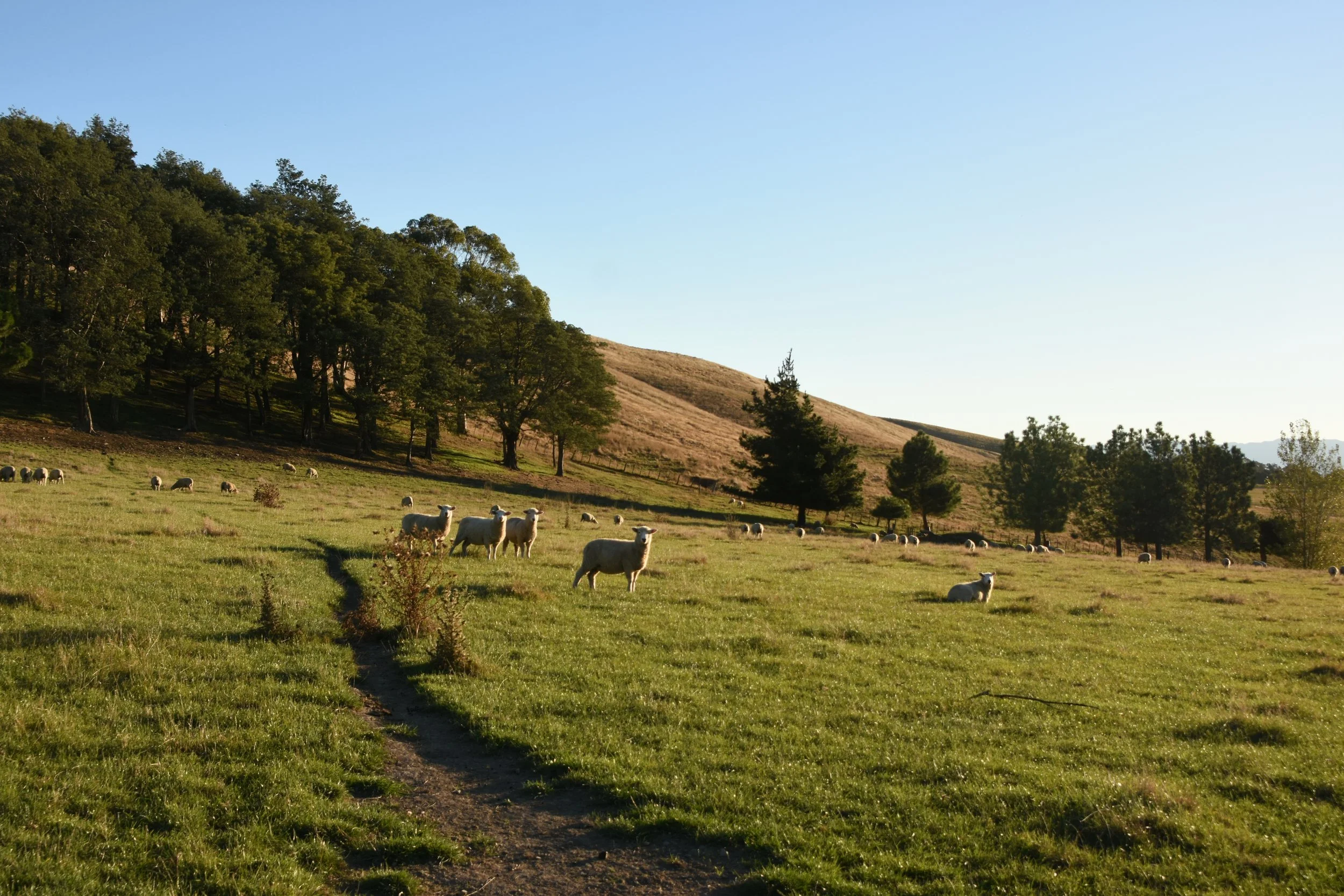 DSC_9191.JPG