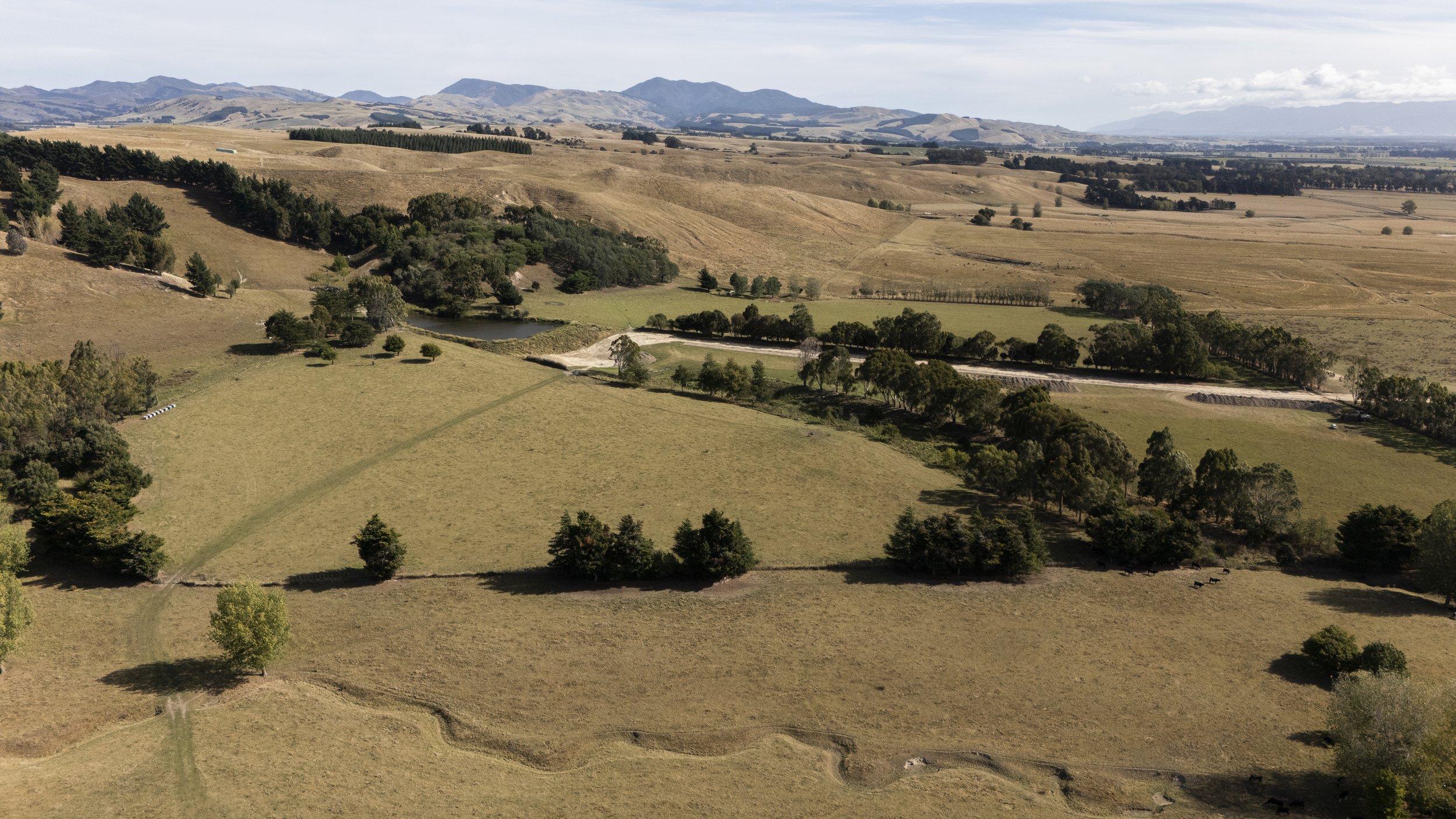DJI_20250323155422_0093_D.jpeg