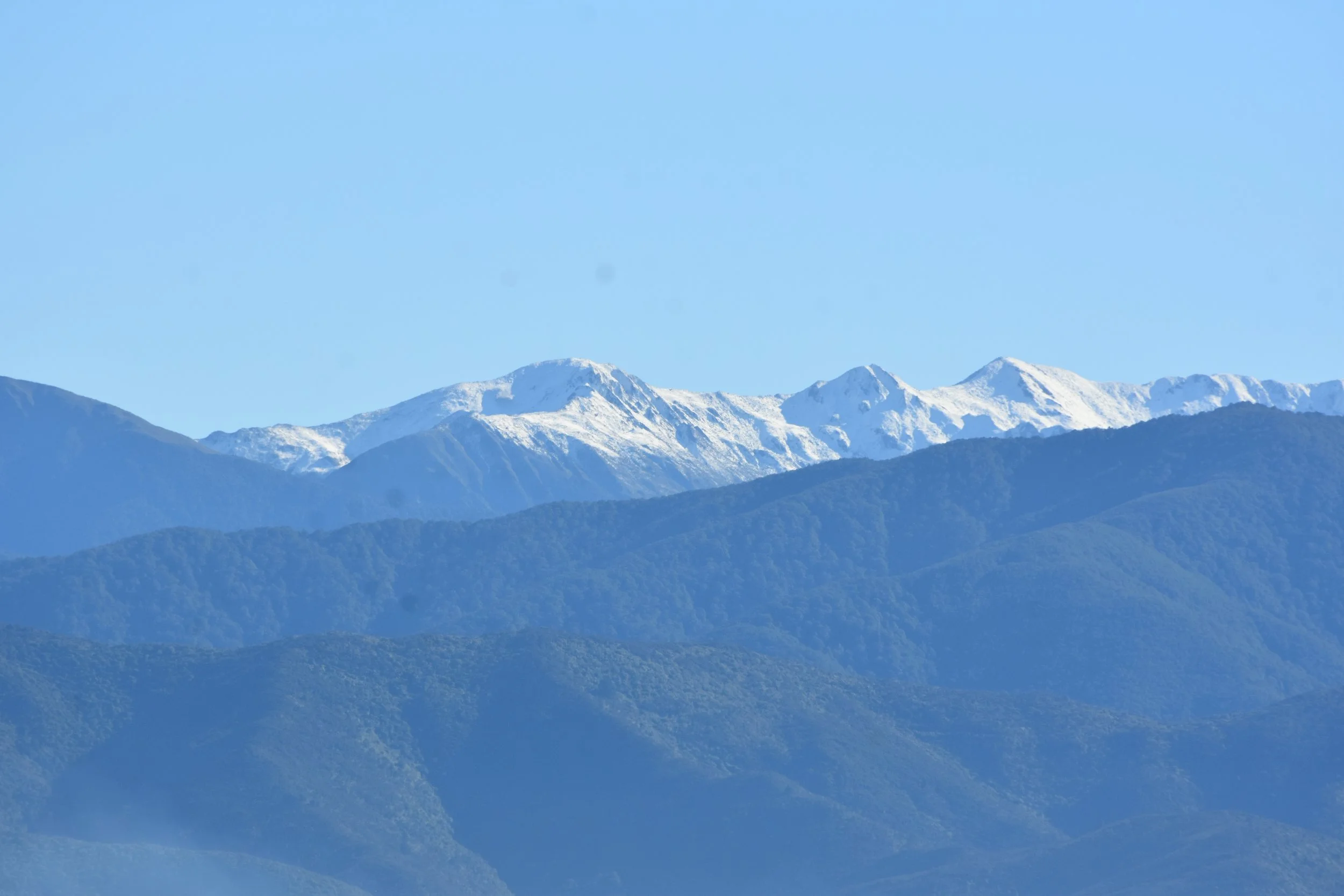 DSC_5831.JPG