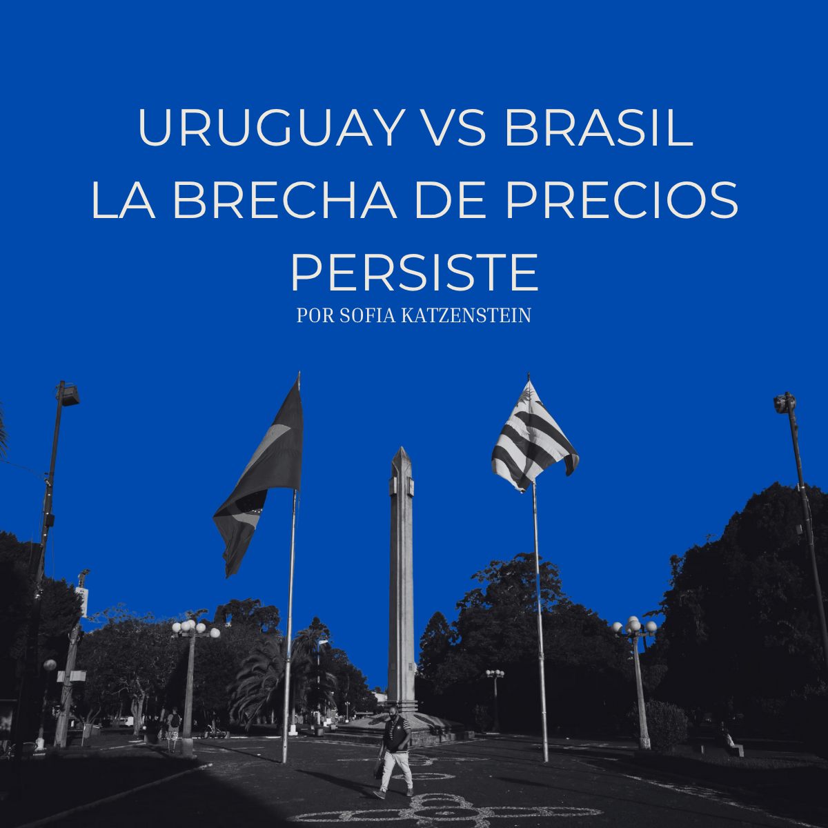 Uruguay vs. Brasil: La brecha de precios que persiste