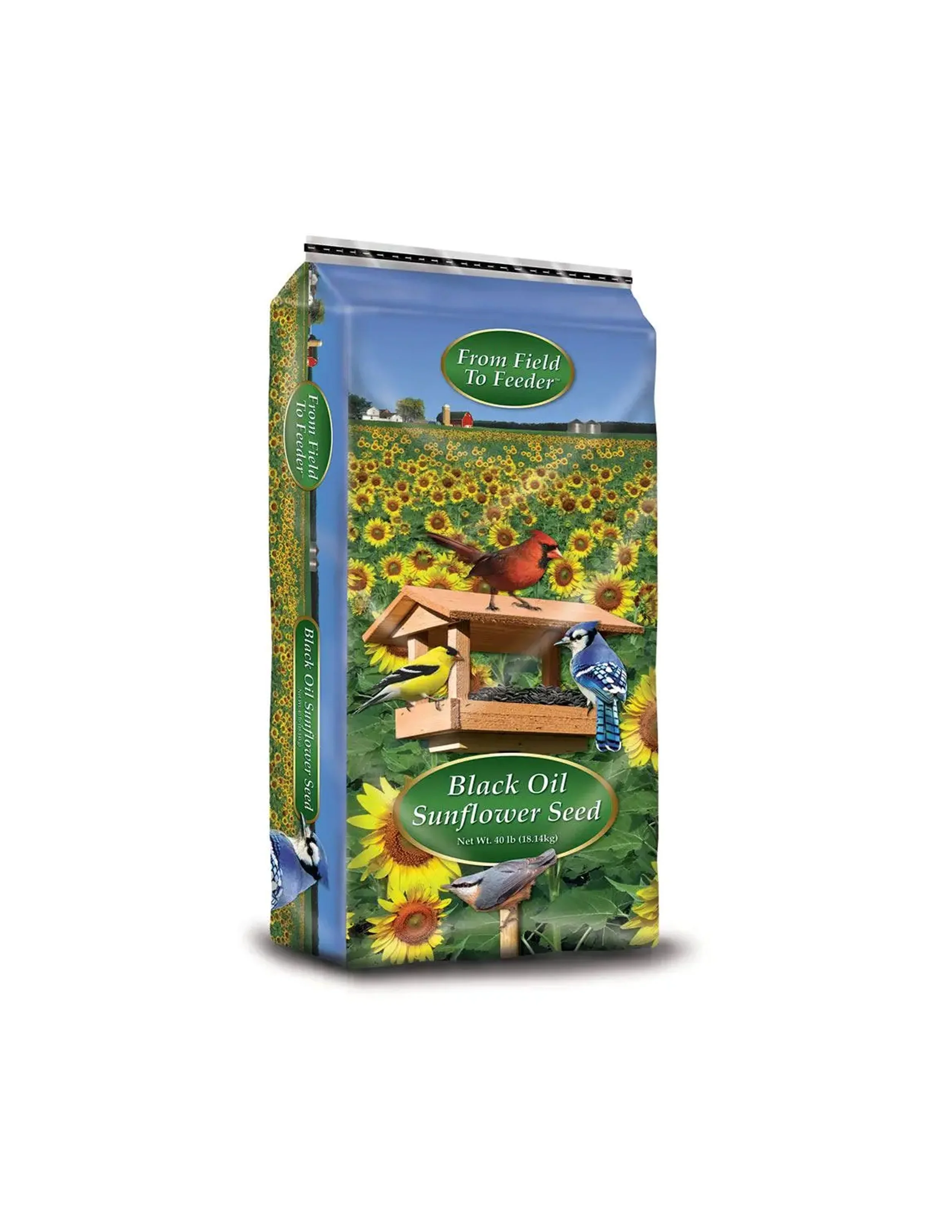 Black Oil Sunflower Seeds
