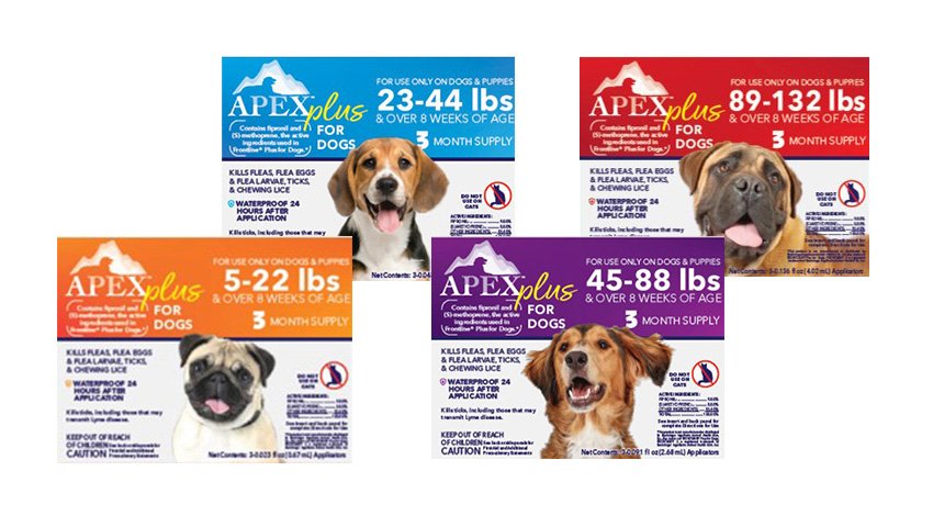 APEX-Plus_dogs_group.jpg