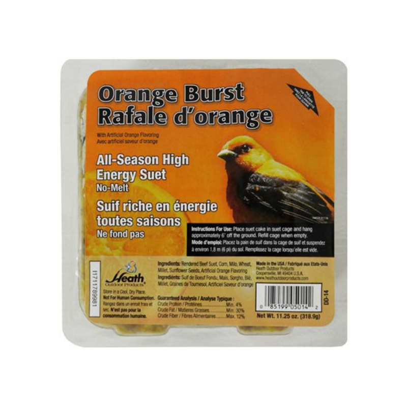 Suet Bird Cake - Orange Burst