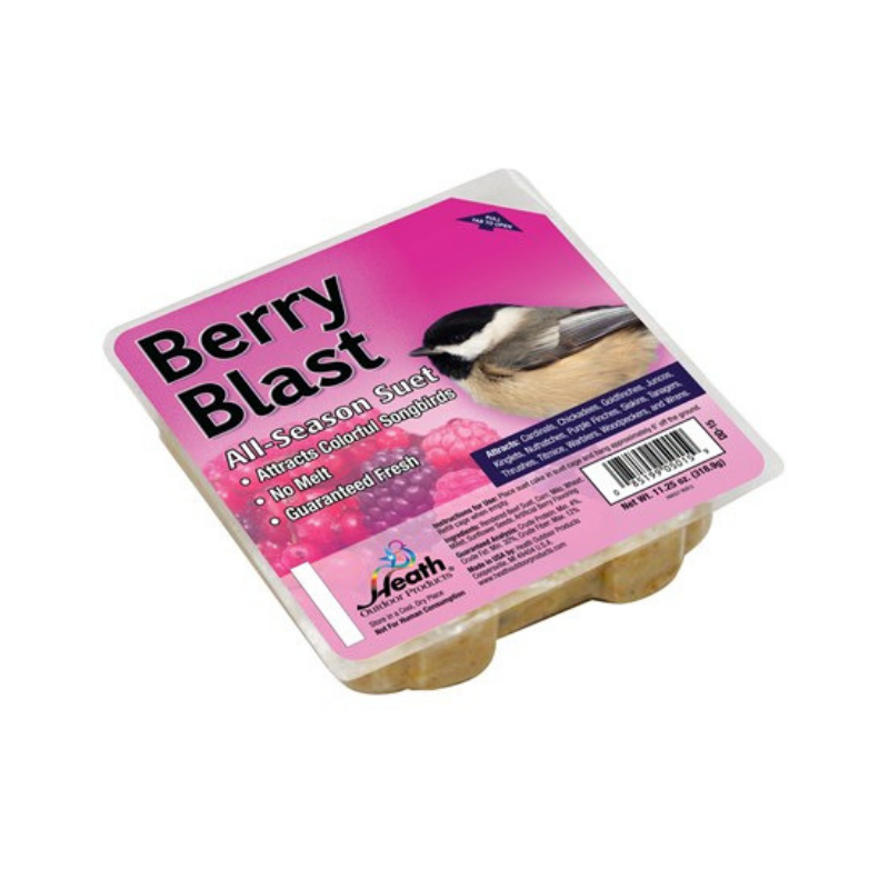 Suet Bird Cake - Berry Blast
