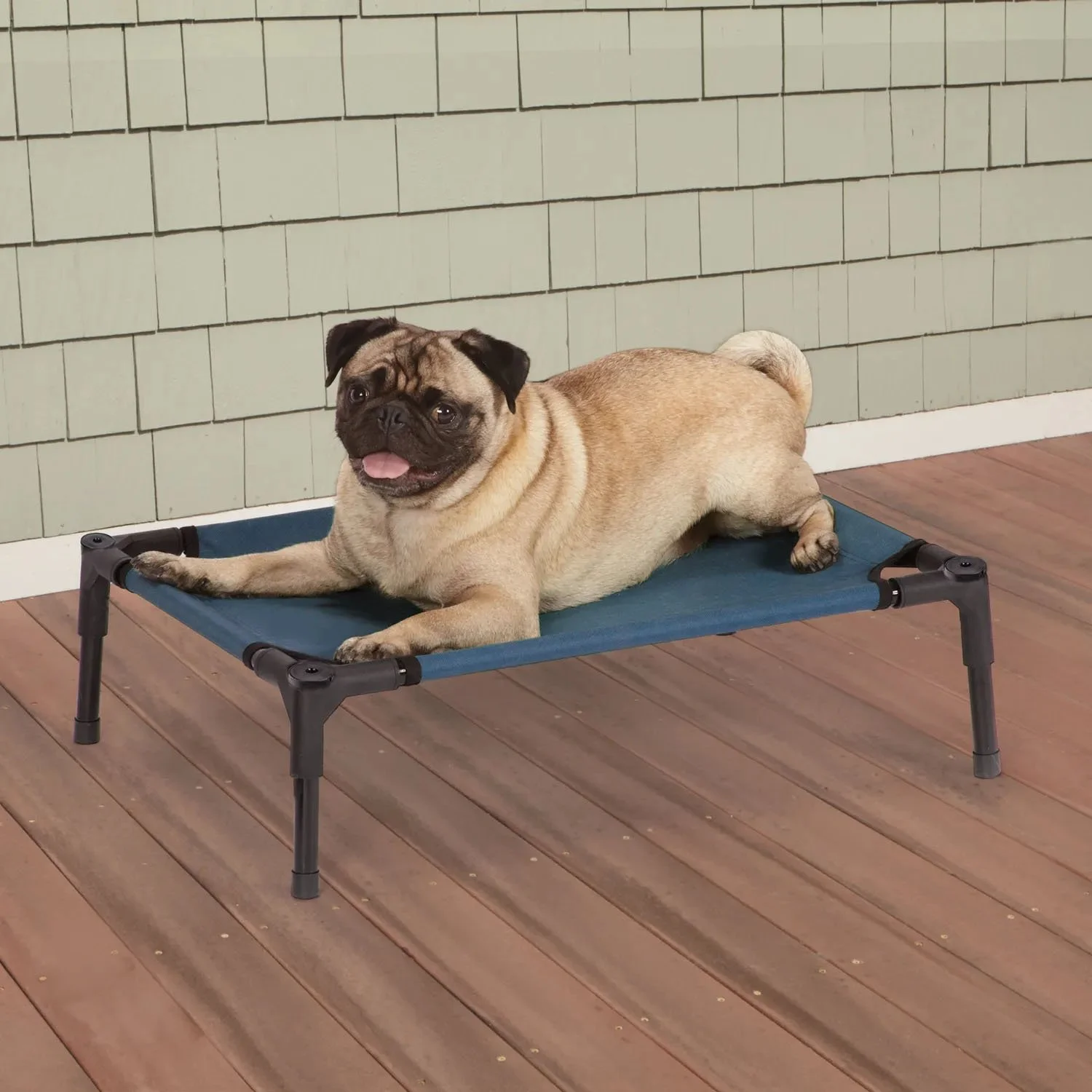 pet cot.jpg