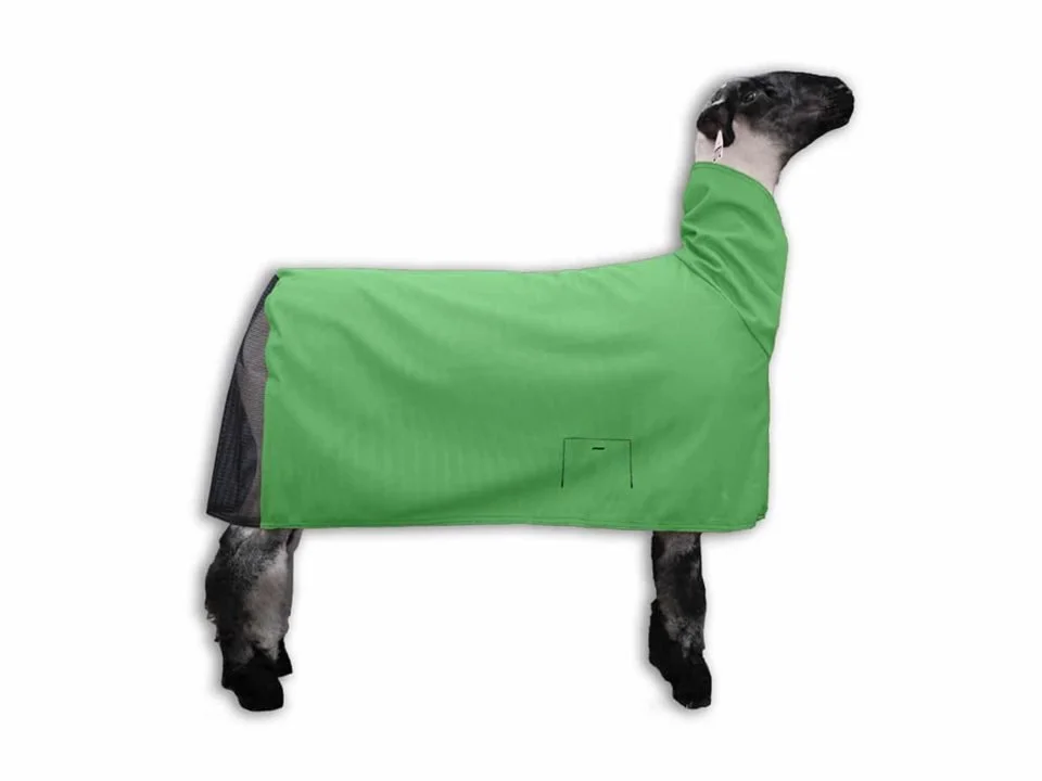 Cool Mesh Lamb Blanket