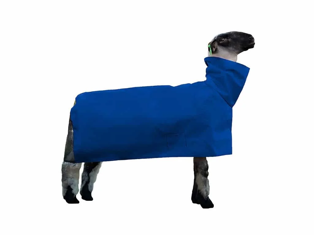 lamb_blanket_solid__0000s_0004_blue.jpg