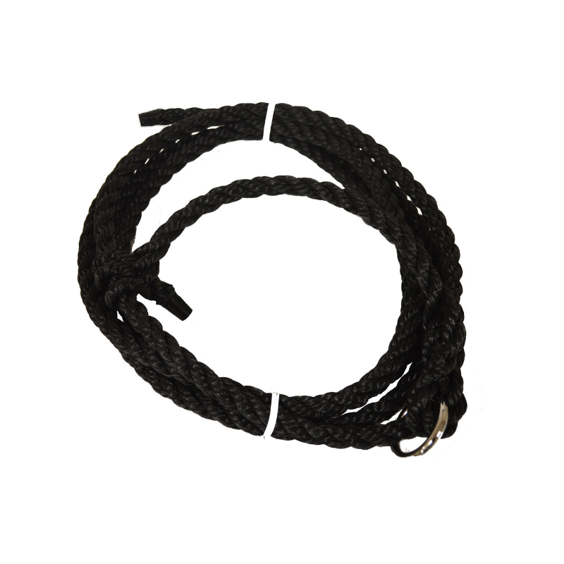 breaking halter.png