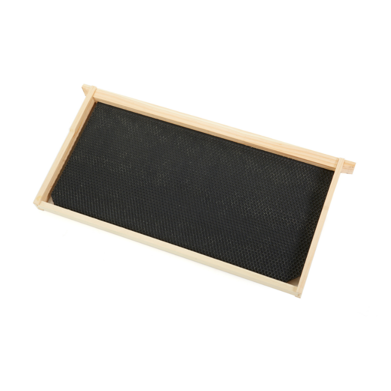 bee frame.png