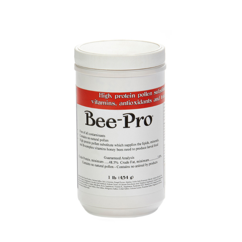 bee pro.png