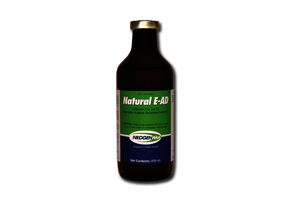 natural E A&D.png