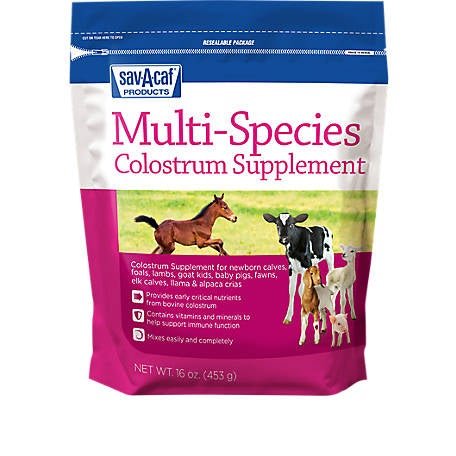ultra start multi species colustrum.jpg