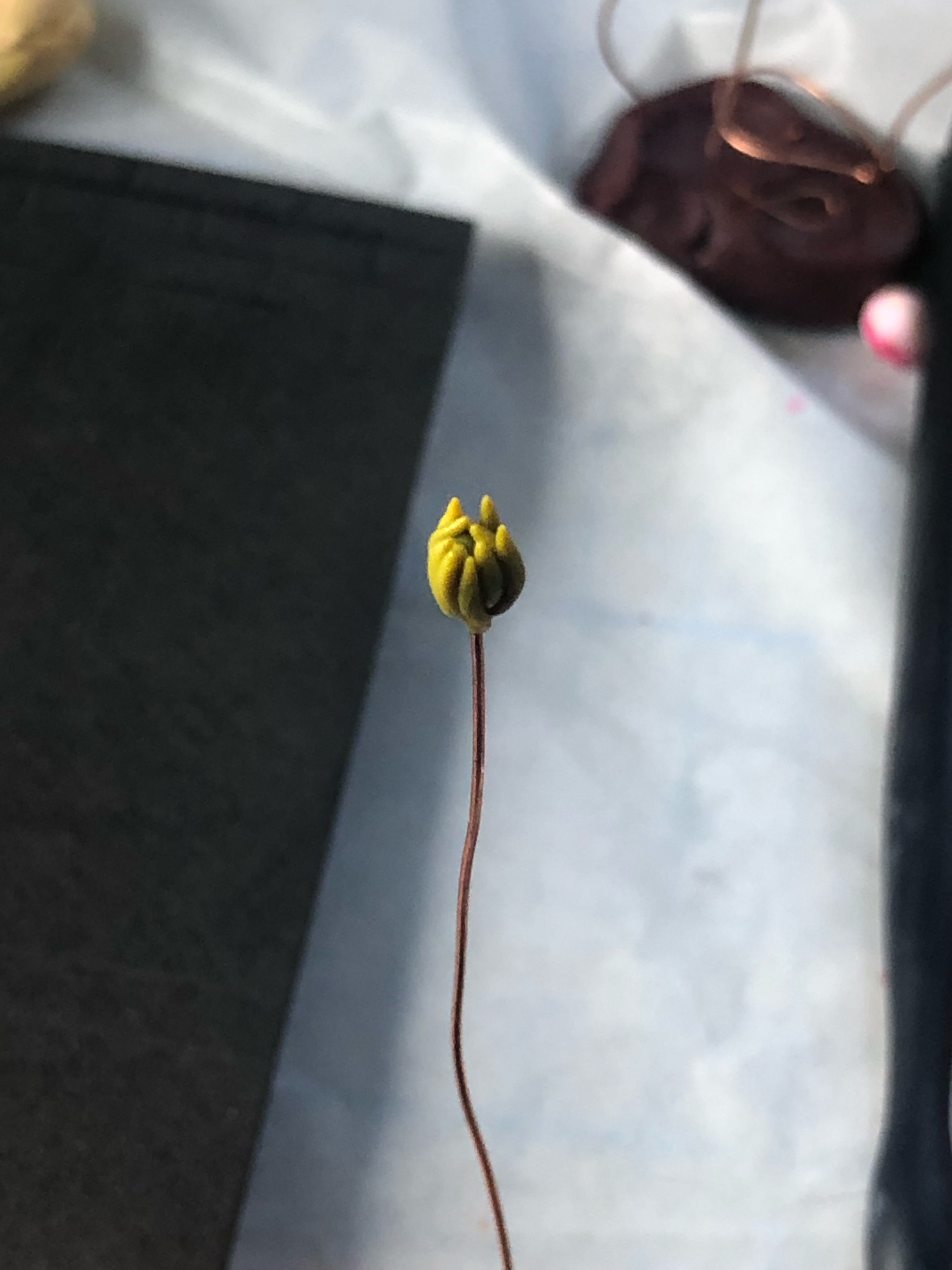 Sculpting the flowers