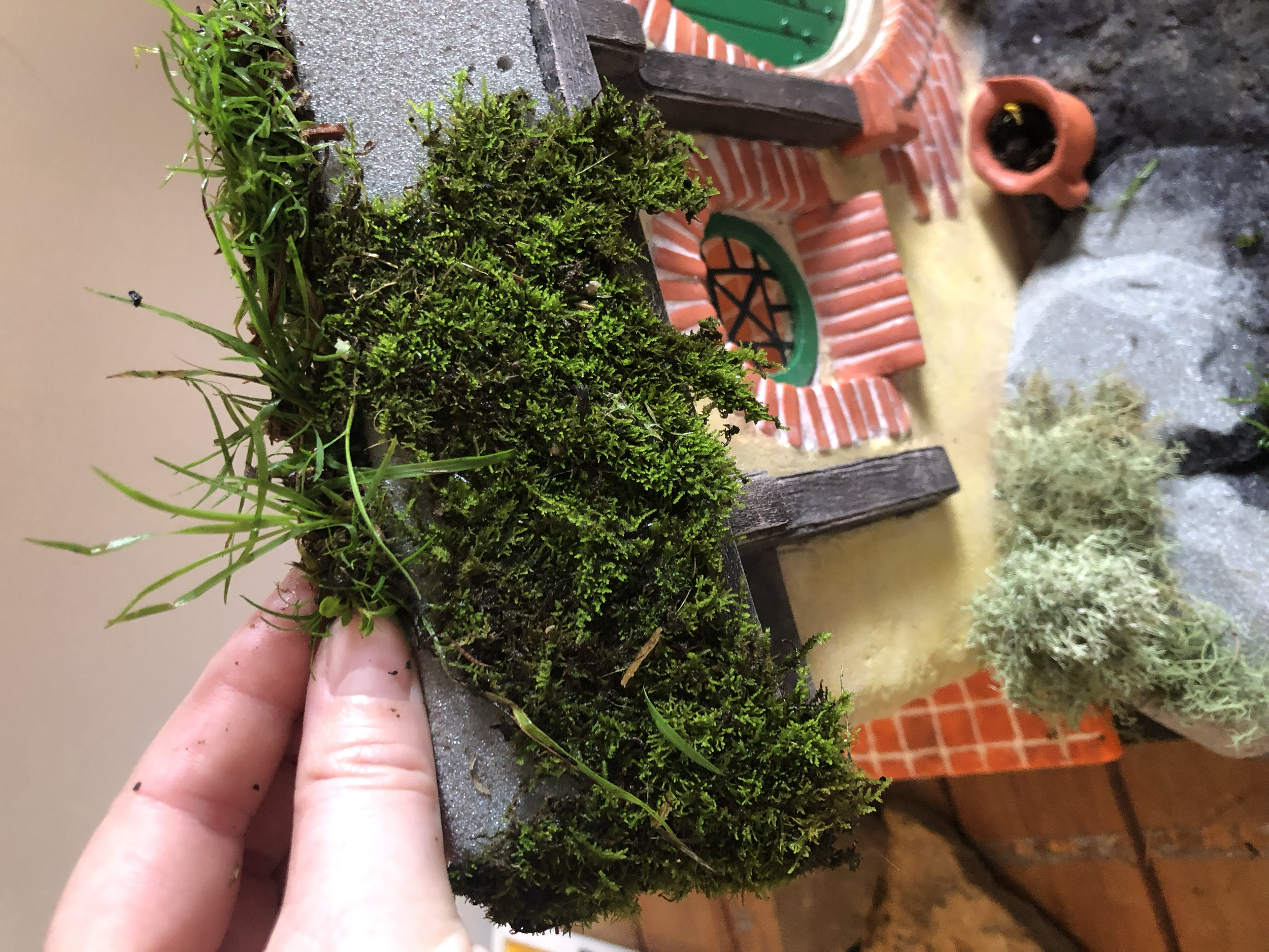 Dressing the mini set in foraged plant life