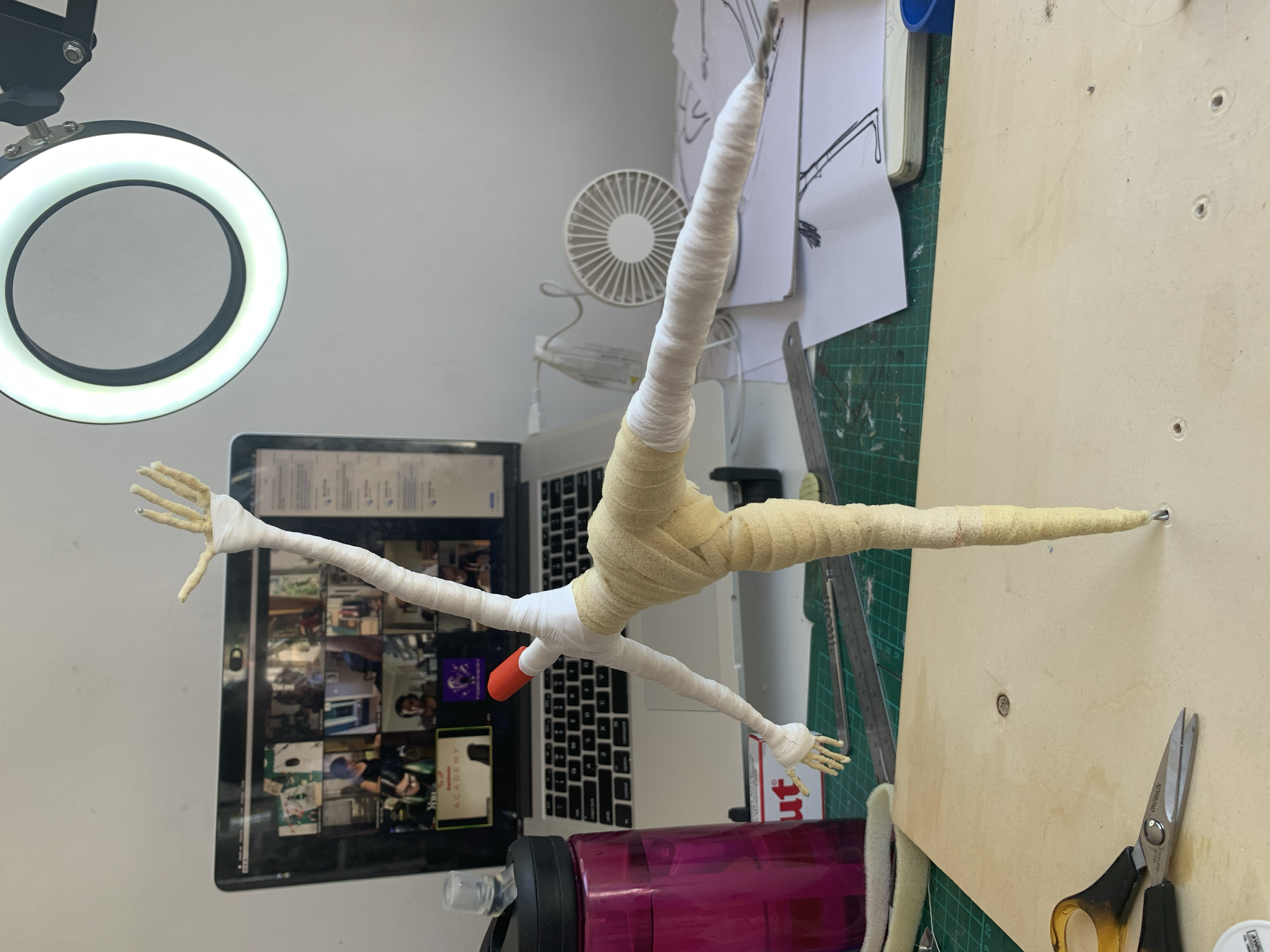 Testing movement