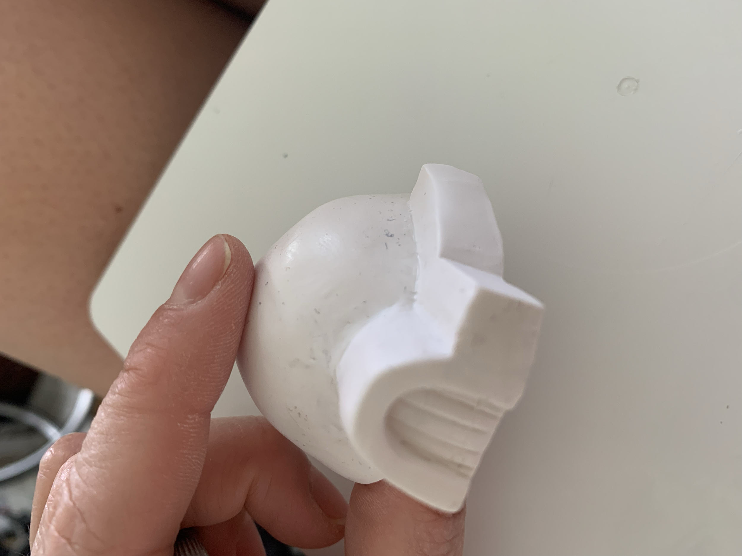 Sculpting the main house