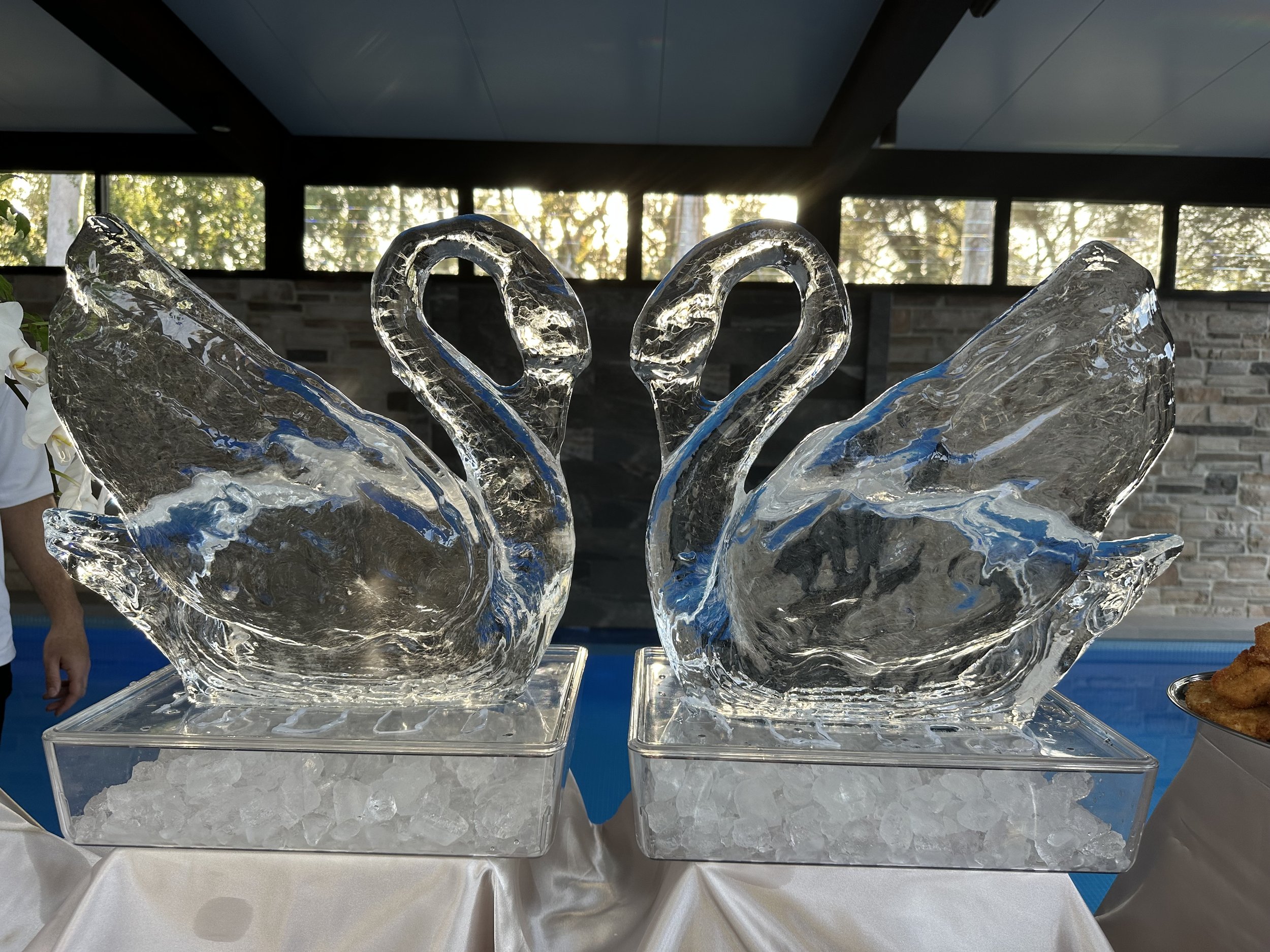 Pair of Swans (3).jpeg