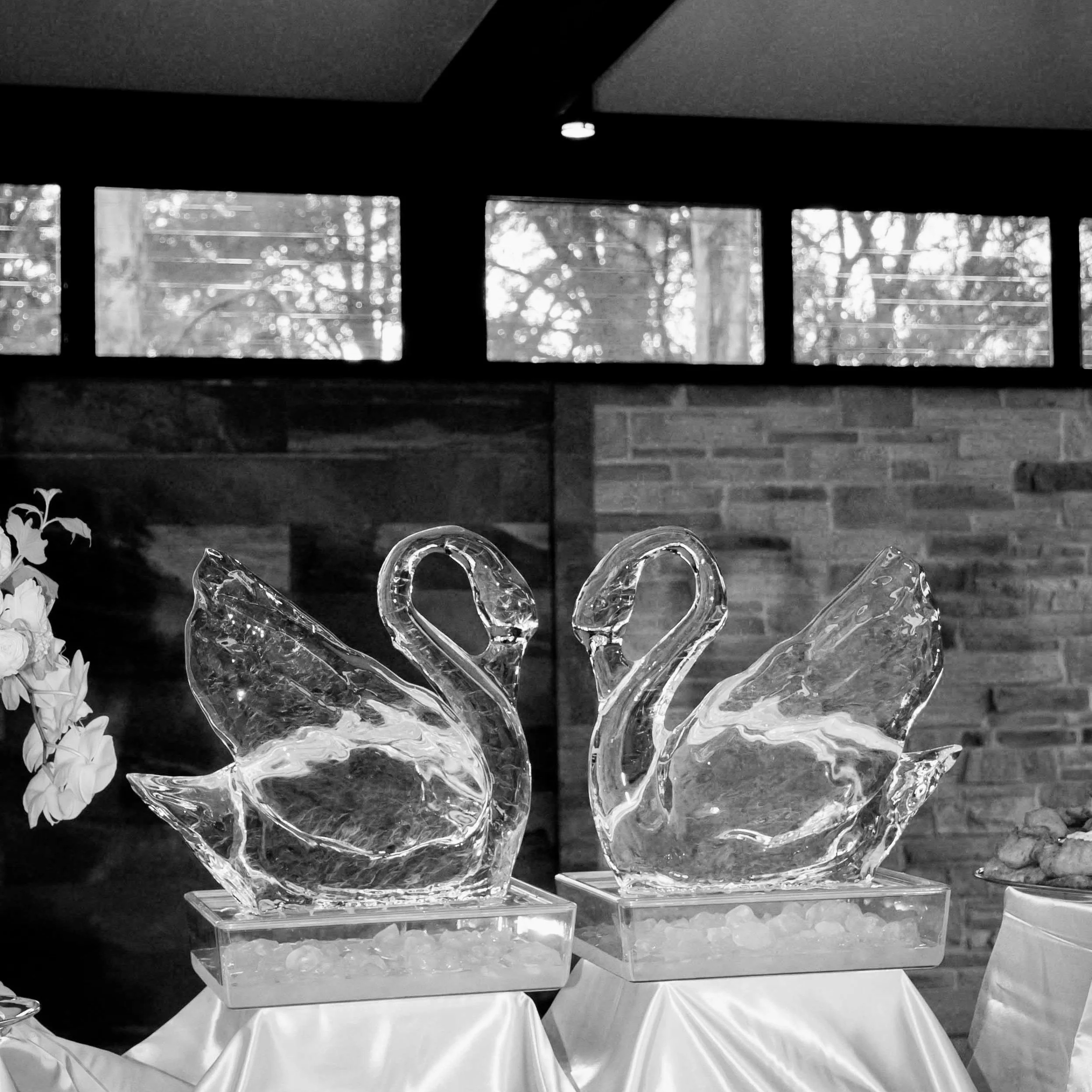 Pair of Swans