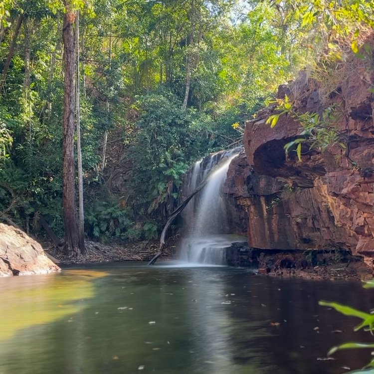 
Litchfield NP, NT
