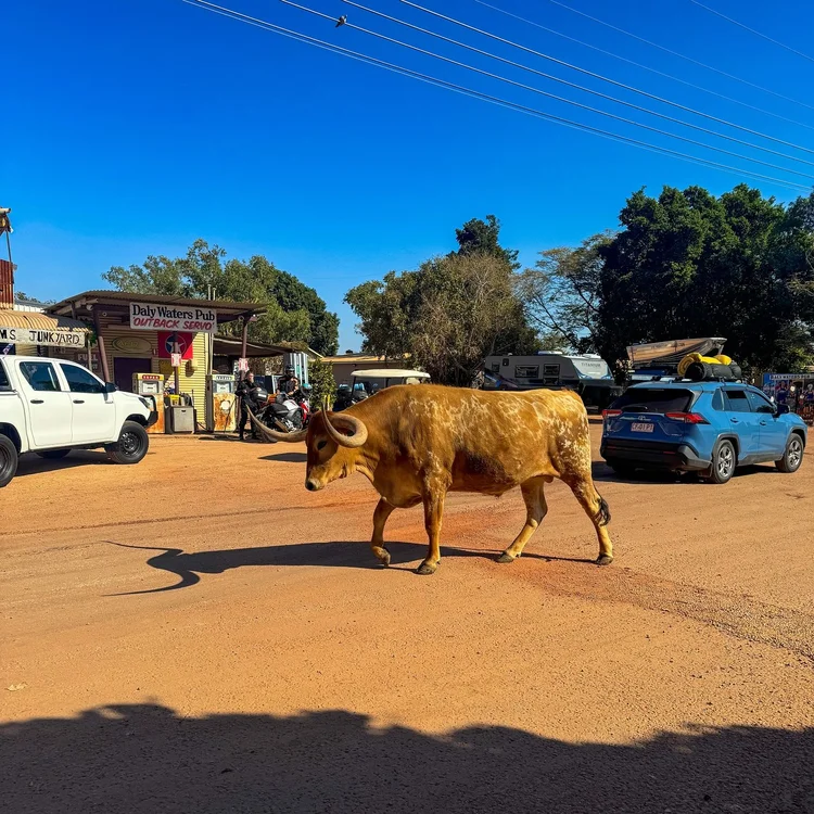 
Daly Waters, NT

