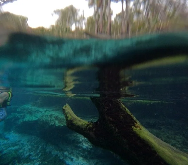 GPTempDownload 23.jpeg