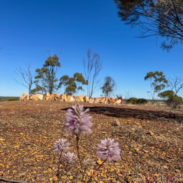 White Station: A Quiet Circle
