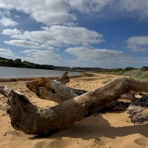 Warrnambool: Exploring the Mouth of the Hopkins