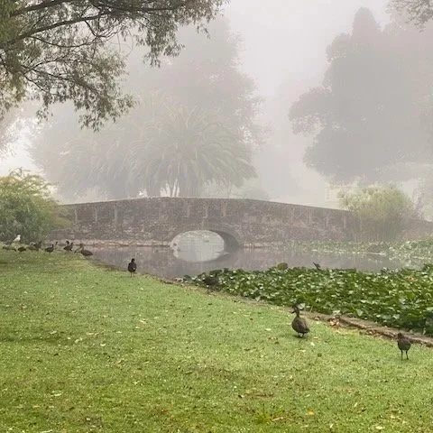 A Slow Day in Warrnambool