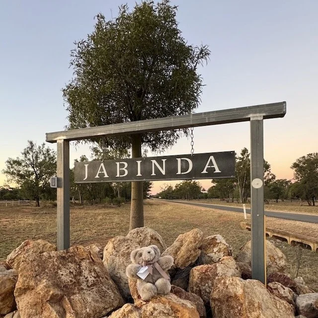 Tambo: Teddies, Chickens and Qantas History