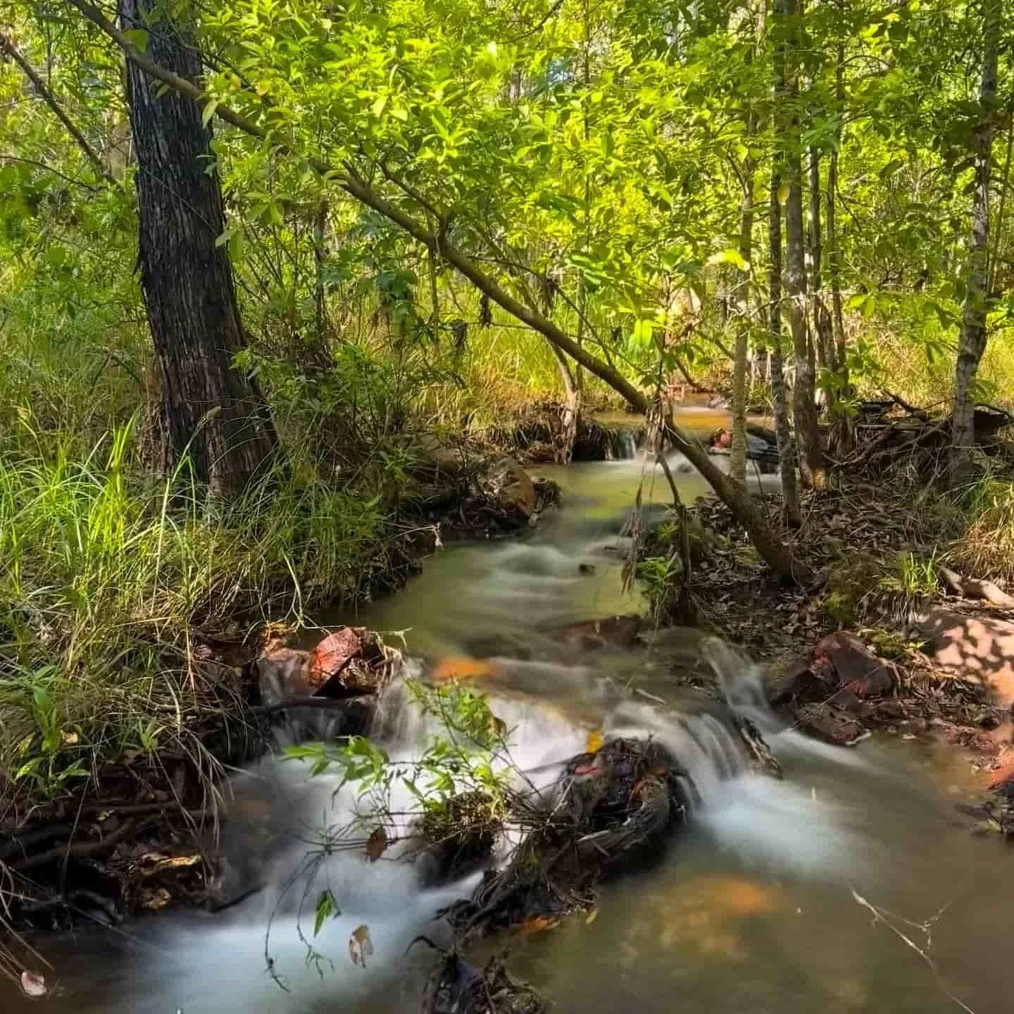 Robin Falls: A Hidden Gem near Adelaide River