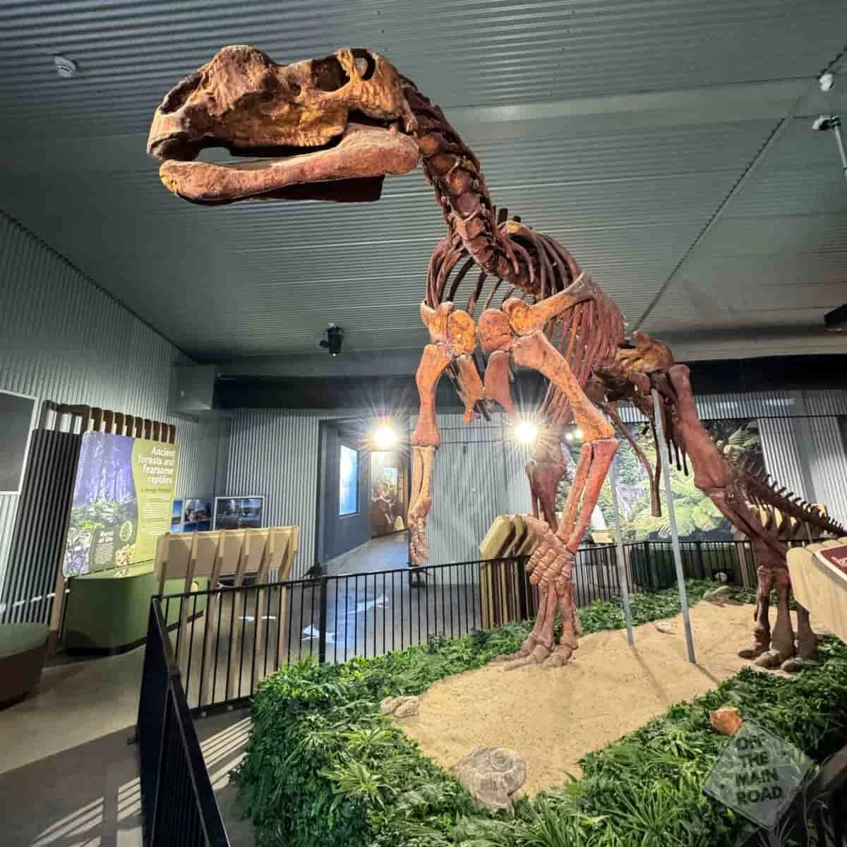 Hughenden: Dinosaurs and a Blazed Tree