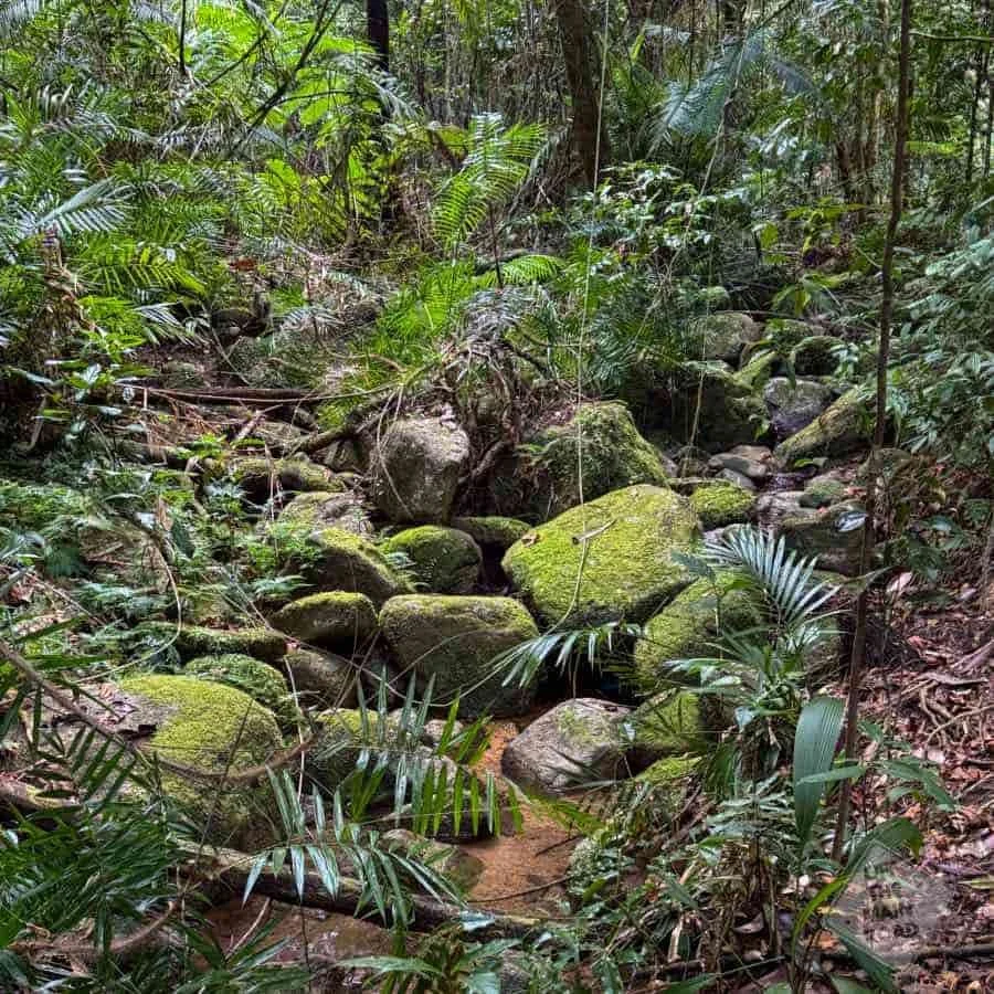 Babinda to Cairns to Kuranda