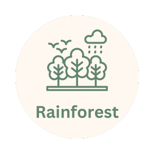 Icon depicting rain, clouds, trees, and birds with the label 'Rainforest'.
