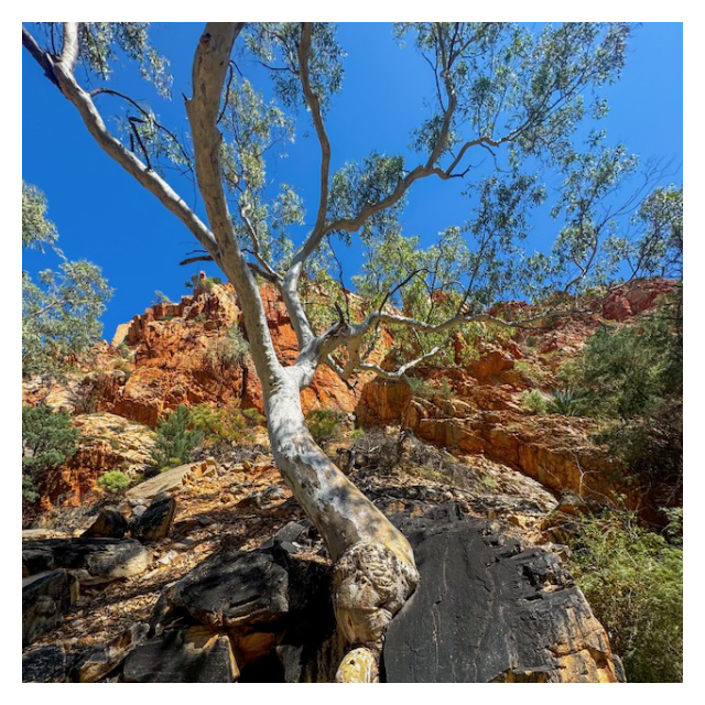 202060101 Standley Chasm Print.png