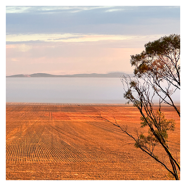 202060101 Looking Out Near Wudinna, South Australia 1.png