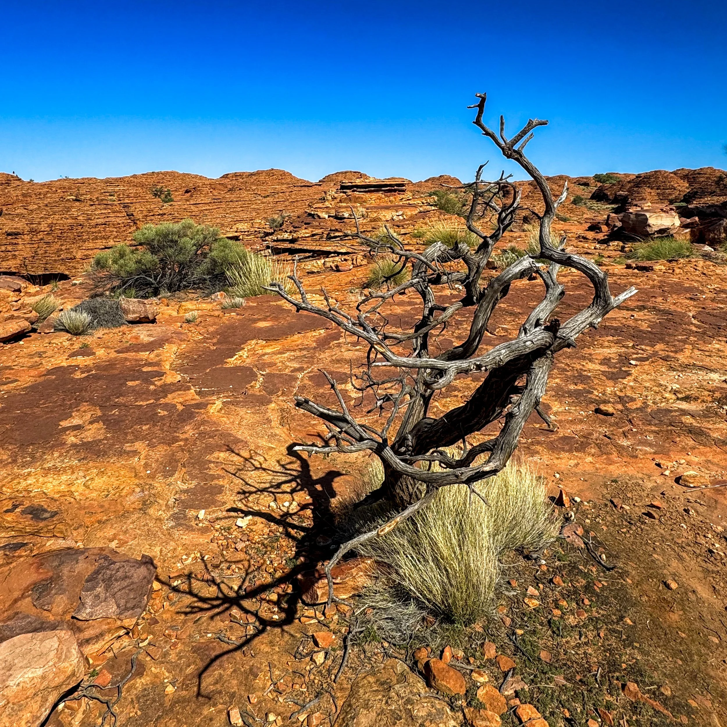 Photography, Slowed Down