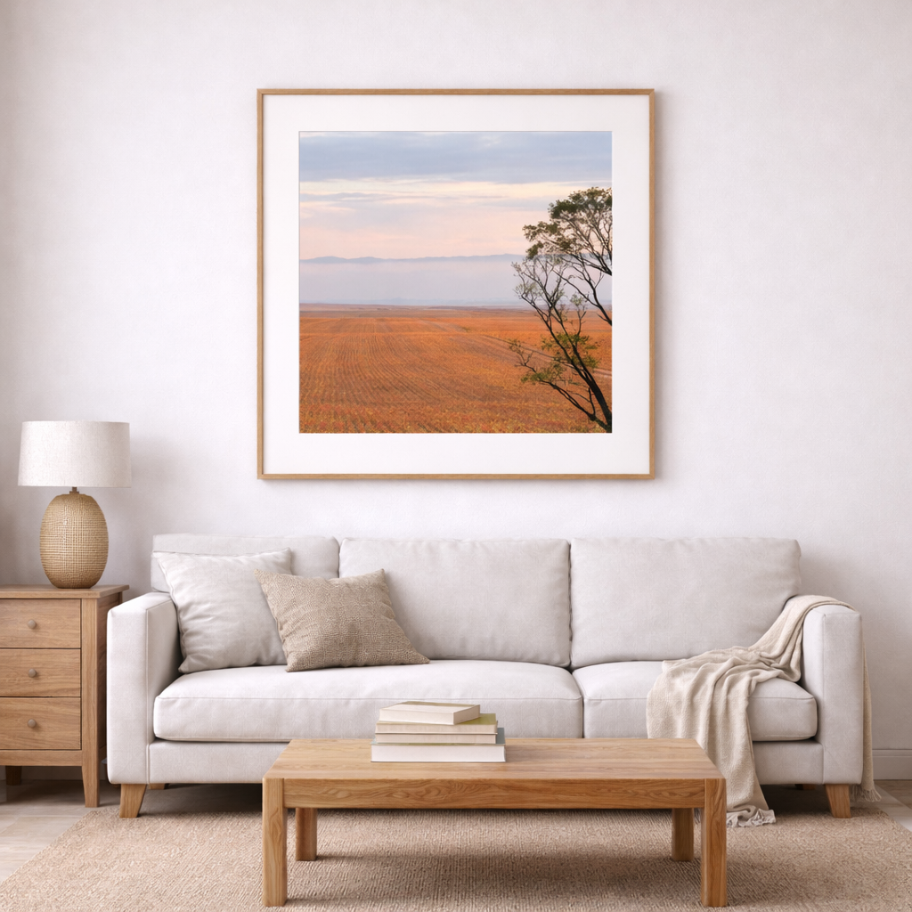 Looking Out: near Wudinna, South Australia.   | 60 × 60 cm Photographic Print