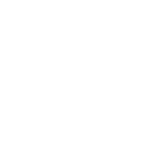 James Rogan Logo and Branding (2).png