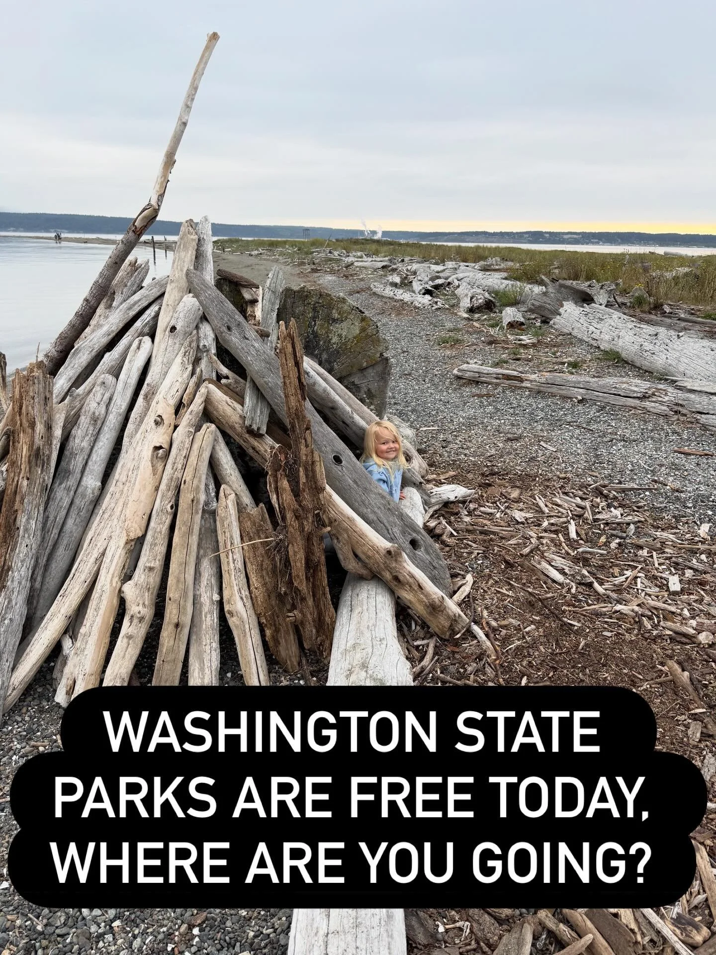 Washington State Parks are free today, where are you going? Somewhere old, somewhere new? Drop your adventure below. #getoutside #washingtonstateparks #adventure #mlk #bringthekids