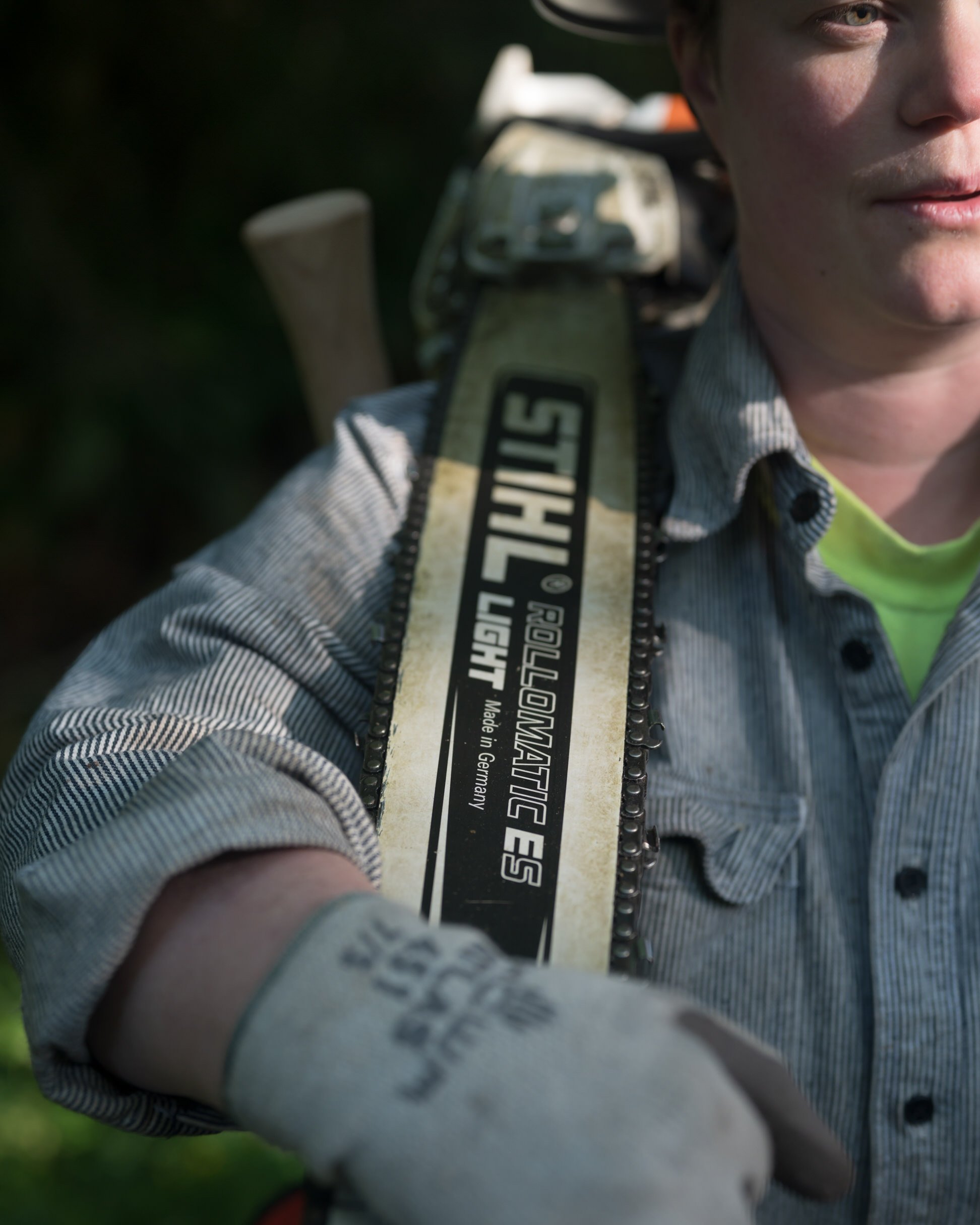 logger with face.jpg