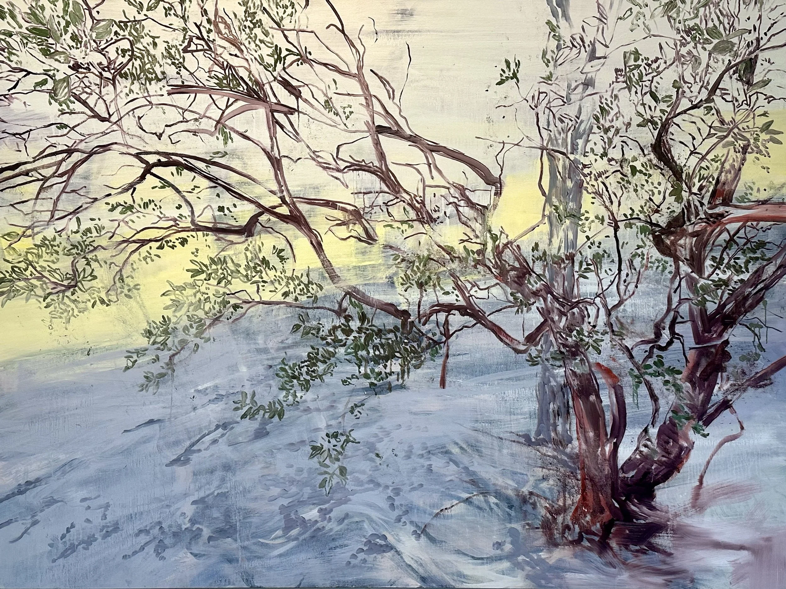Manzanita, 54x72.jpeg