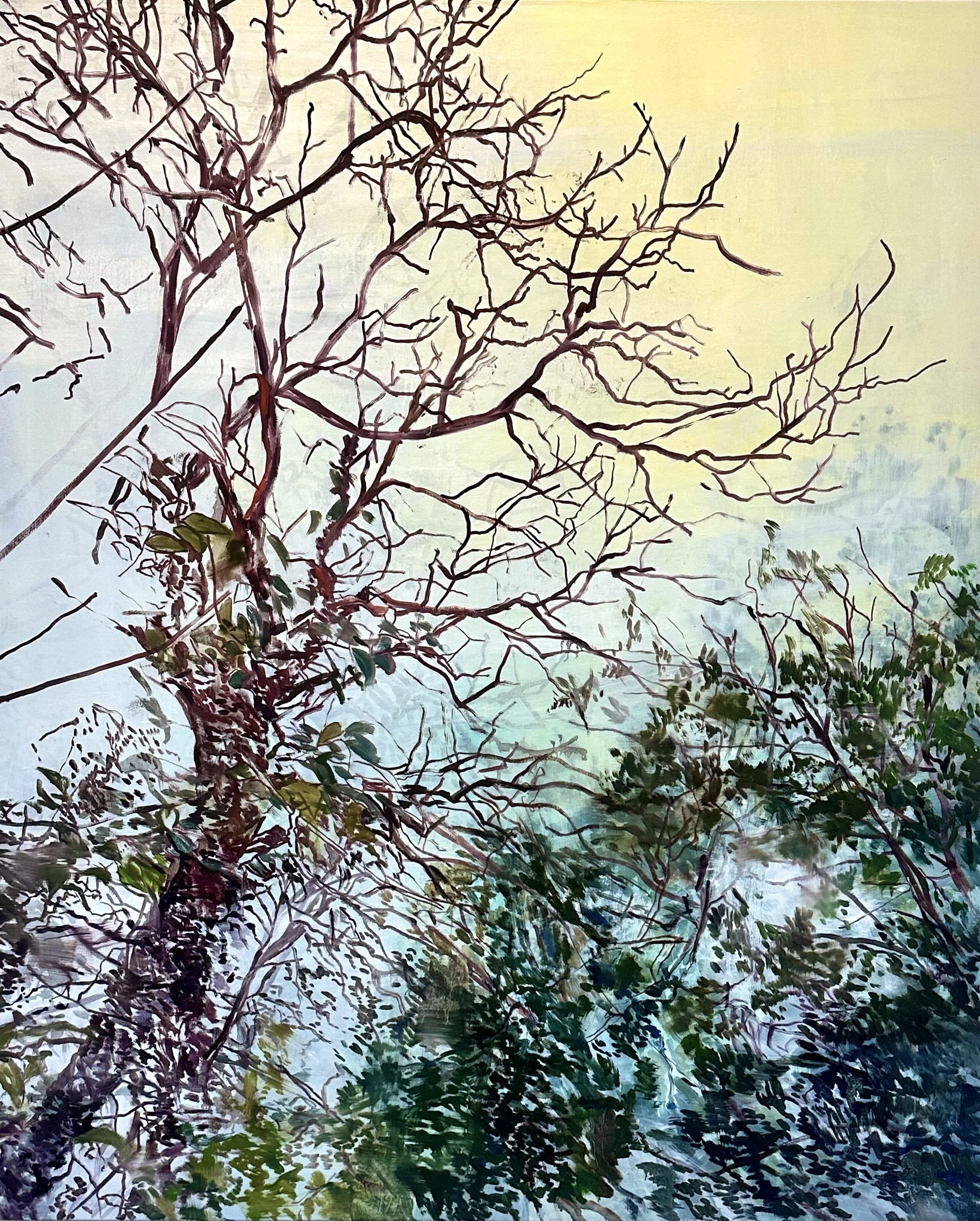 Thicket, 66x54.jpeg