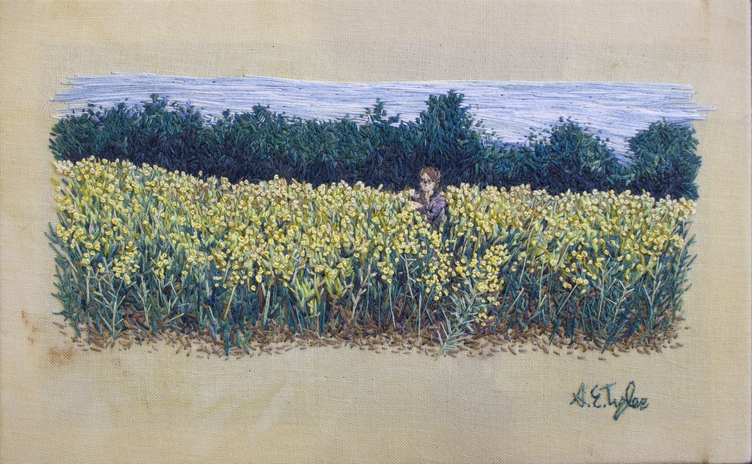 "Goldenrod Gathering Spot: Broken Arrow", 2025 Cotton fabric, cotton, silk and wool embroidery floss. natural dyes including: weld, goldenrod, indigo, madder, black walnut, lac, gallnut, iron modifiers 8" x 5" x .5"