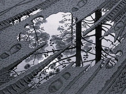 Stay up to date with workplace compliance changes and have support on hand for when you need it.